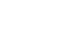 Ayansh Global Pvt. Ltd. logo